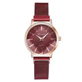 STEVVEX Women's 28mm Quartz Dress Watch | STGD033LFR